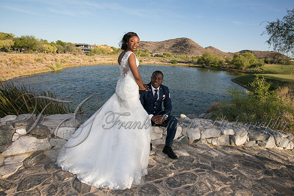 wedd-501