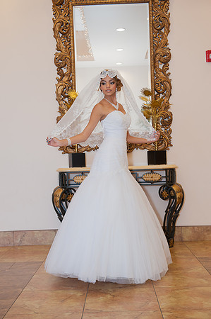 Phoenix Quinceañera