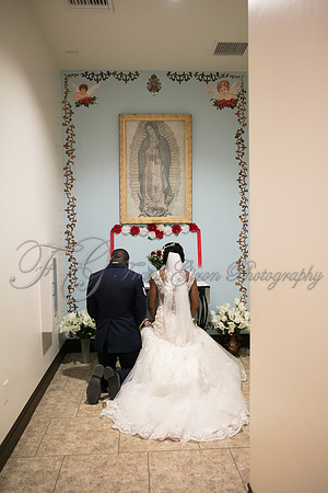 wedd-284