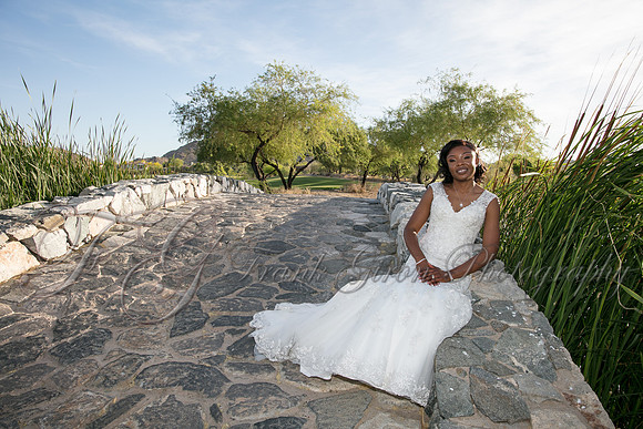 wedd-484