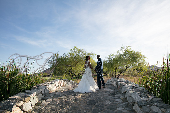 wedd-496
