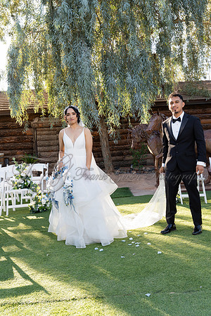 M&I-461