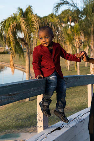 Sgrie-203