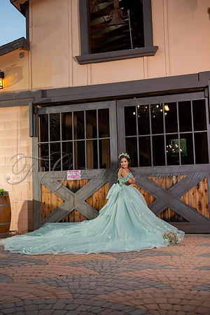 Allison-160