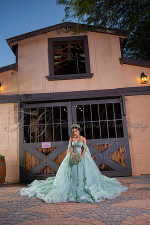 Allison-186