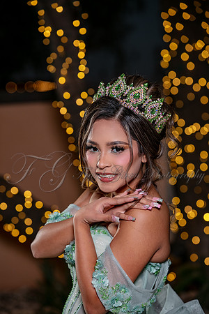 Allison-281