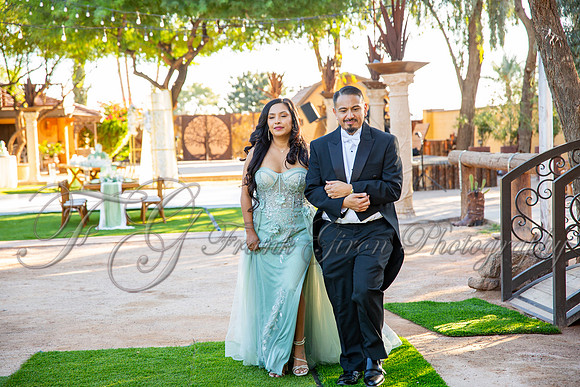 Allison-407