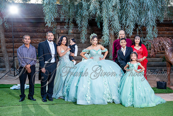 Allison-490