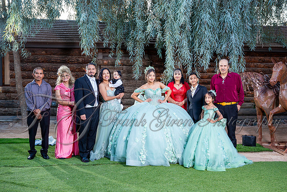 Allison-493