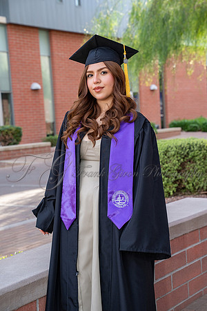 Grad-31
