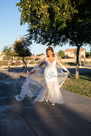 D&T-463