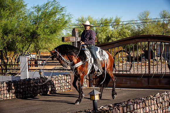 Art-453