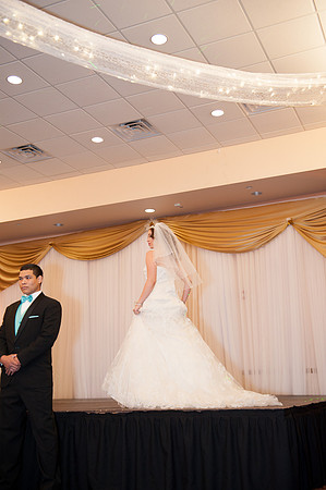 Phoenix Quinceañera