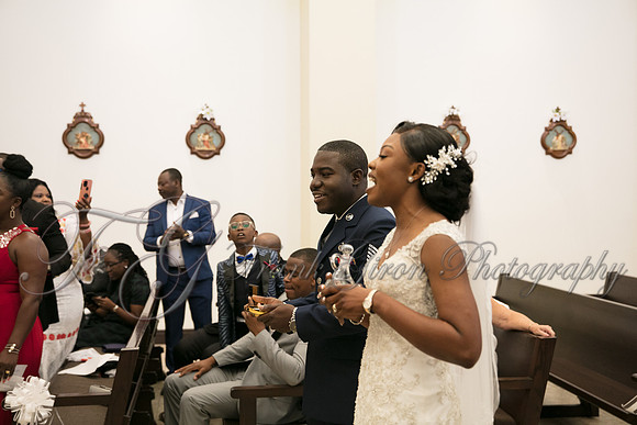 wedd-247
