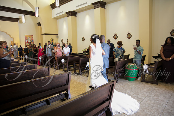 wedd-194