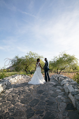 wedd-495