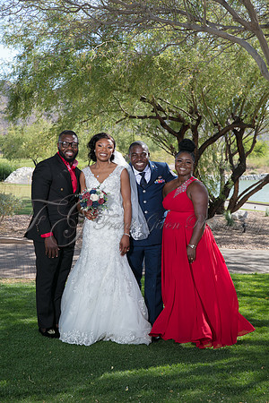 wedd-447