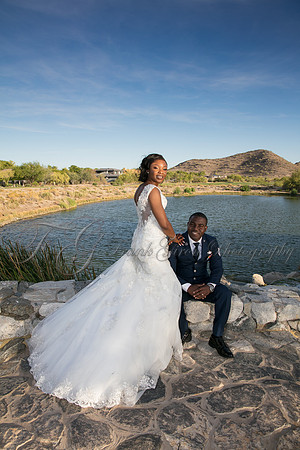wedd-504