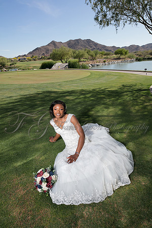wedd-462
