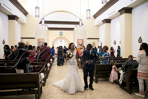 wedd-304