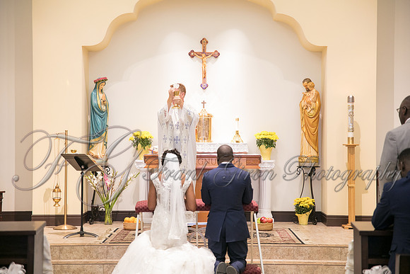 wedd-270