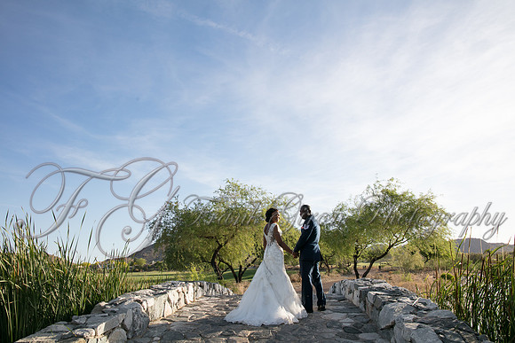 wedd-498