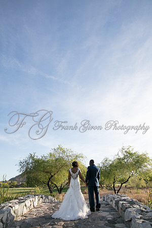 wedd-493