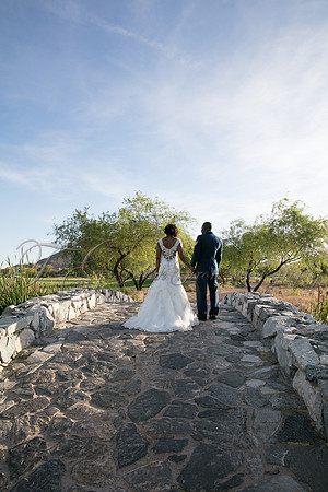 wedd-494