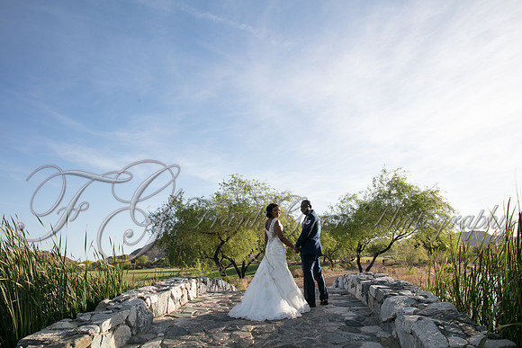 wedd-497