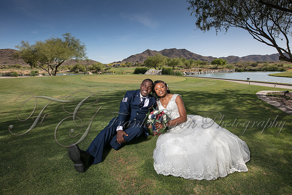 wedd-461