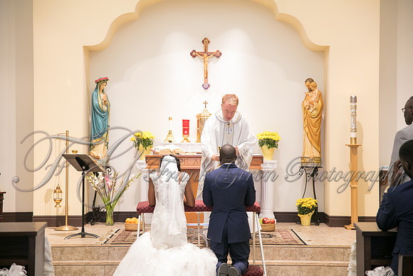 wedd-272