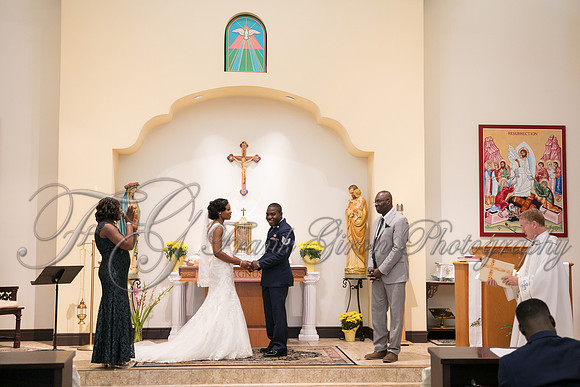 wedd-230