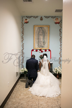 wedd-281