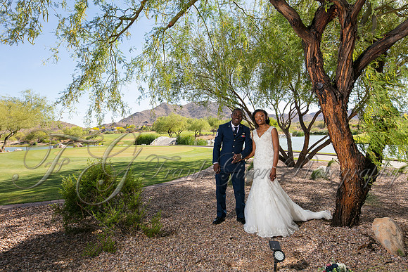 wedd-457
