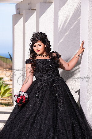 Skyla-350