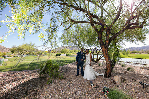 wedd-456