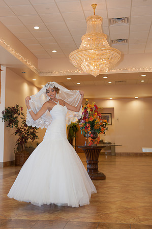 Phoenix Quinceañera