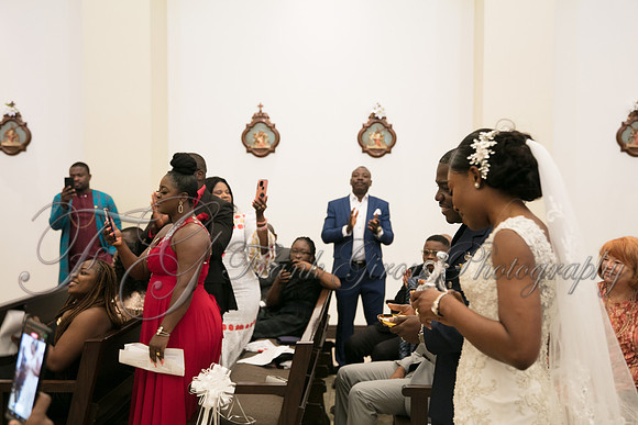 wedd-248