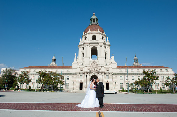 Wedd-643
