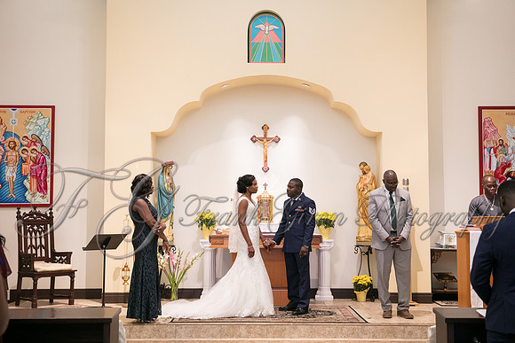 wedd-231