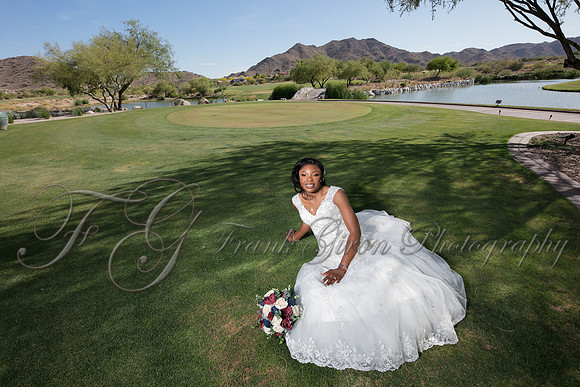 wedd-463